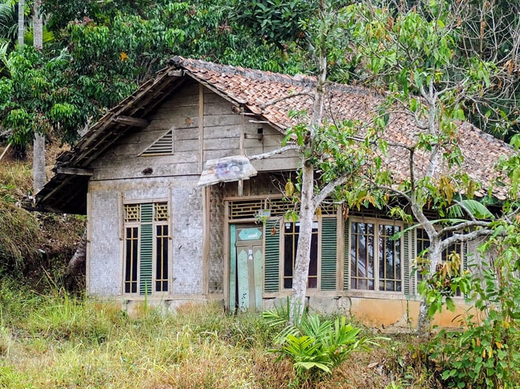 Tanah sekitar rumah yang membuat lembab, Sumber: pexels.com